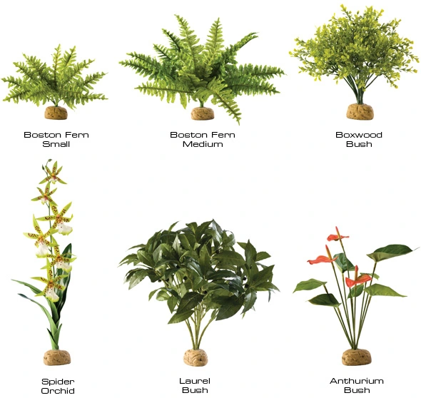 Exo Terra Anthurium bush